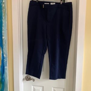 Charter Club Classic Fit Capris. Navy Blue. Size 14.